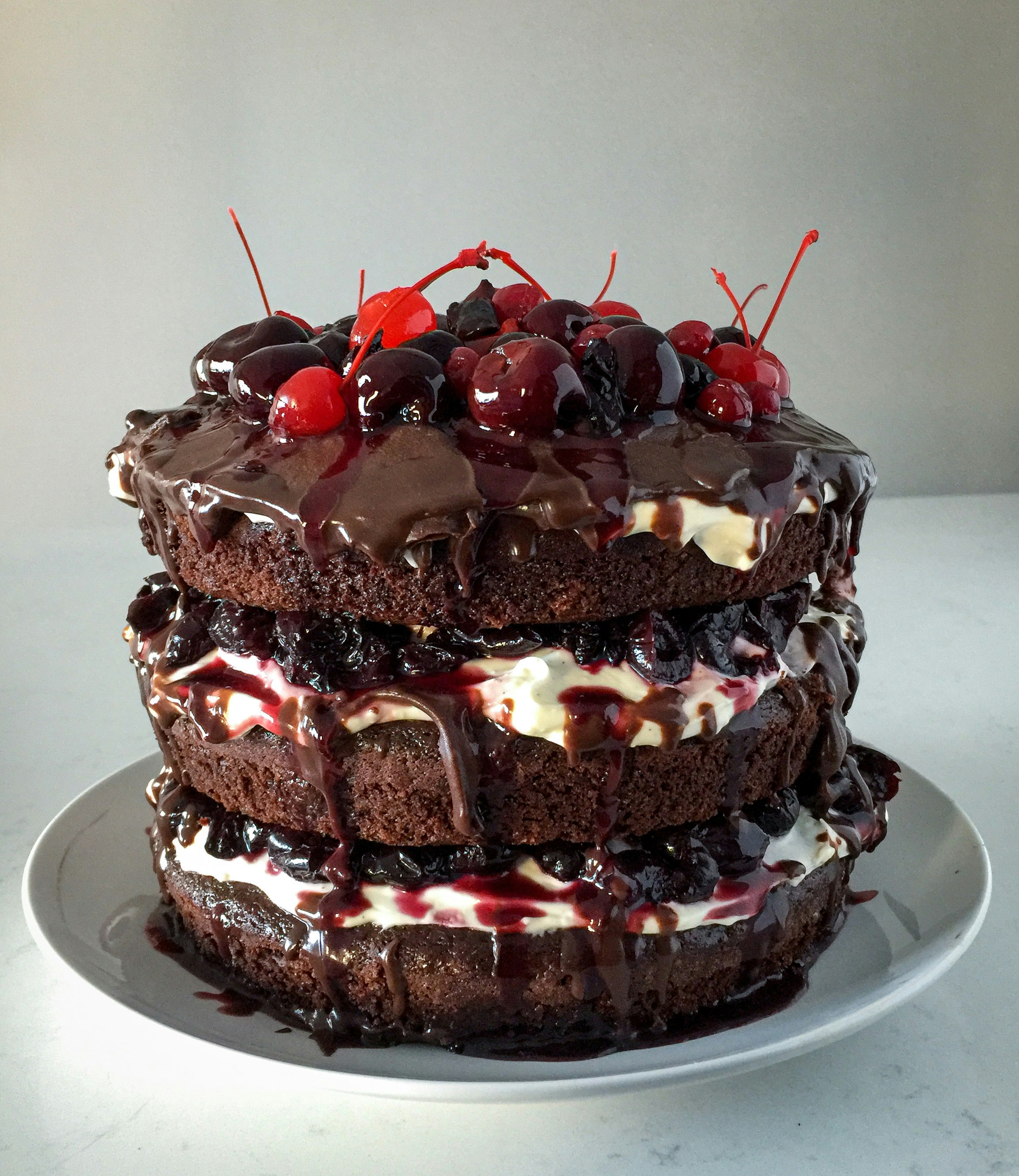 Sponge / Foam Cakes